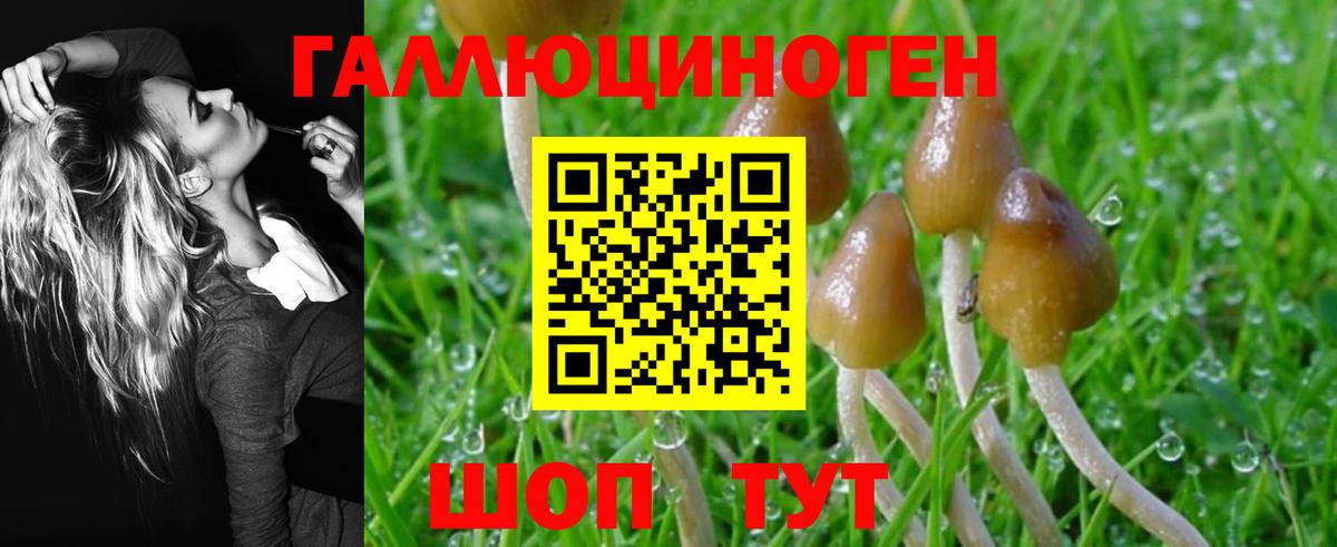 Галлюциногенные грибы Cubensis Барабинск