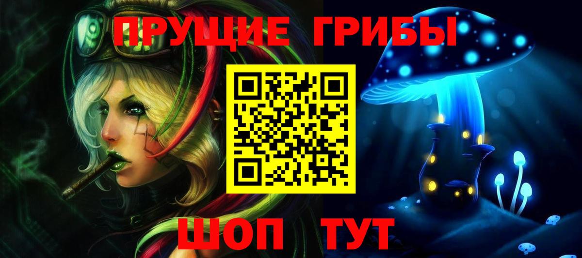 Барабинск  Псилоцибиновые грибы MAGIC MUSHROOMS  где найти наркотики  Псилоцибиновые грибы Cubensis  Вход с VPN 